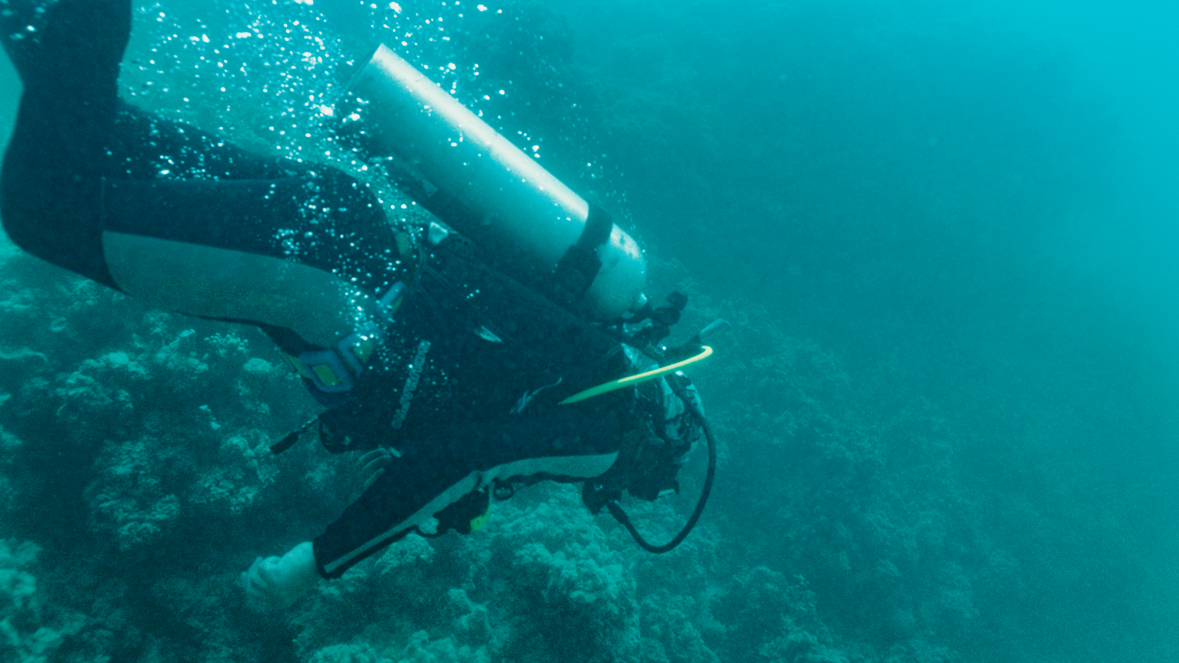 scuba diving
