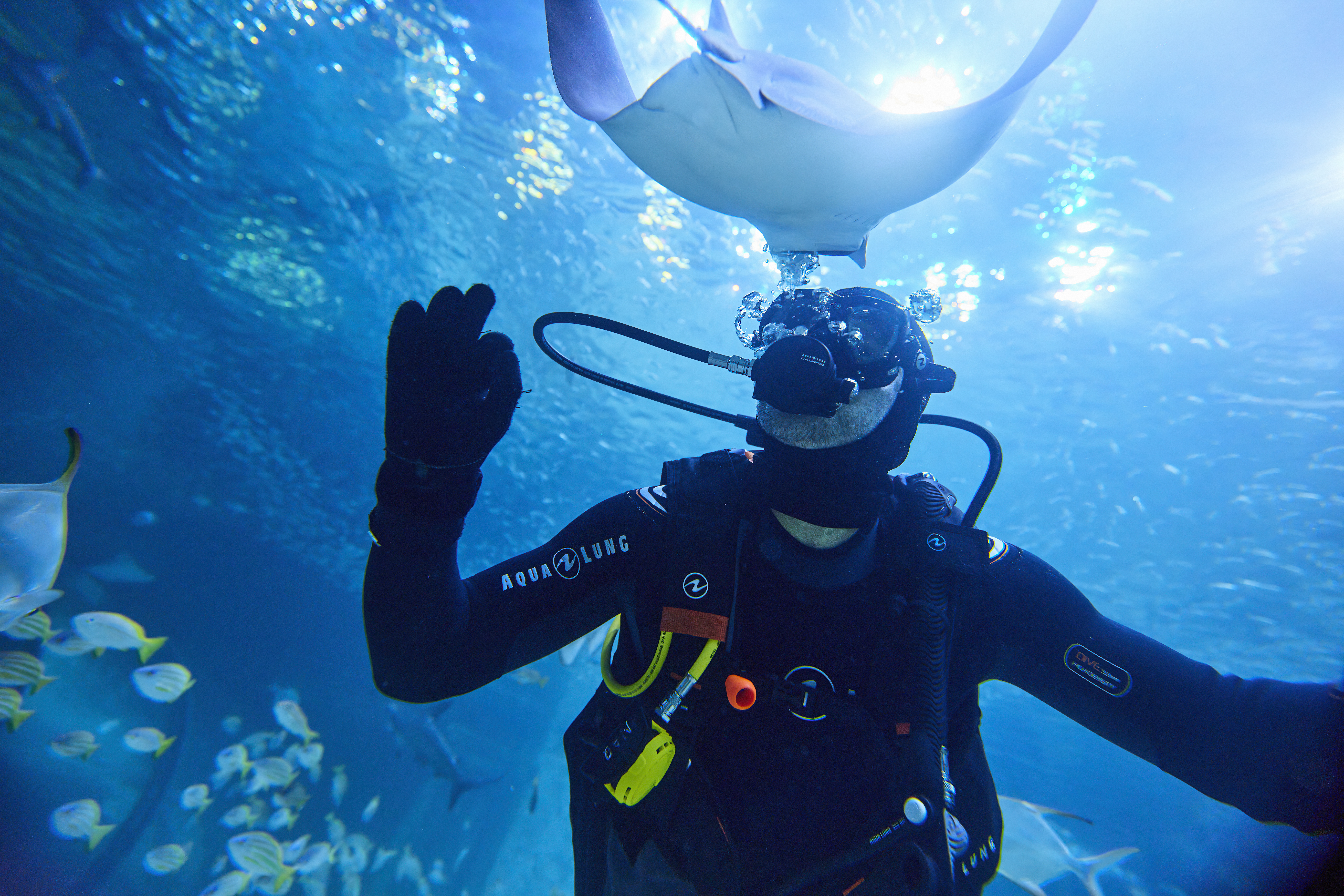 National Aquarium Abu Dhabi